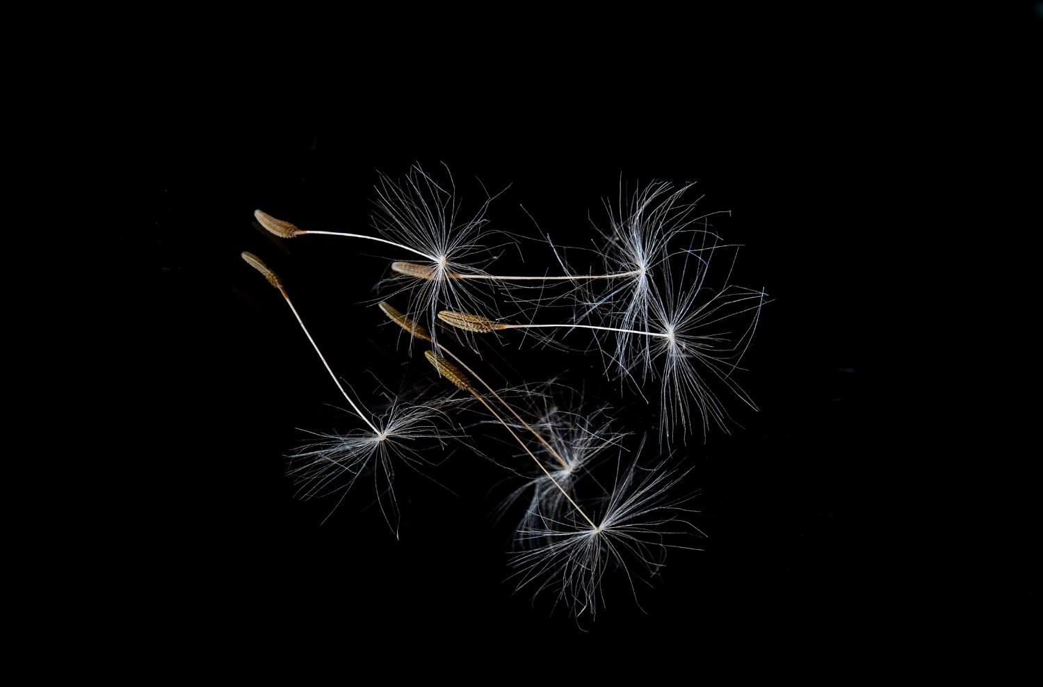 Lightpainting03