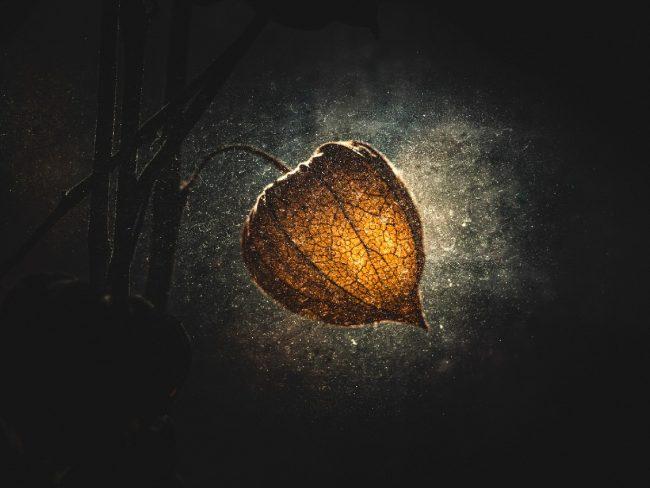 SLO_San_Kos_The Light_01