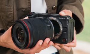 EOS R6 V_Ambient_Full Frame Senor_0984