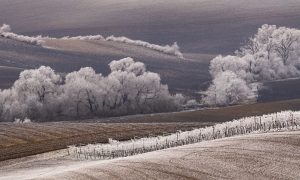 Frozen trees valley winter minimalistic landscape white snow melting agriculture brown fields season change lines background