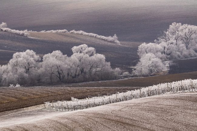 Frozen trees valley winter minimalistic landscape white snow melting agriculture brown fields season change lines background